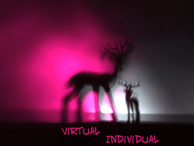 Virtual Individual